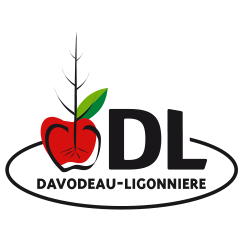 DL